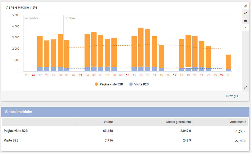 Guida ShinyStat Marketing Automation - ShinyEngage B2B - Scheda Azienda - Andamento di Visite e Pagine viste