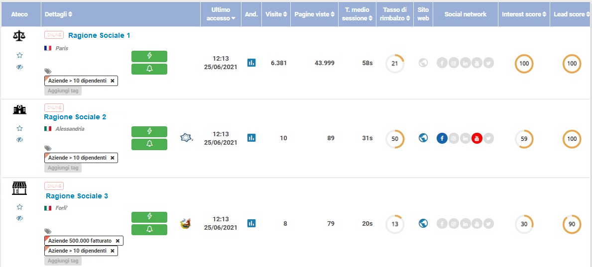 Guida ShinyStat Marketing Automation - Dashboard ShinyEngage B2B - Dettagli