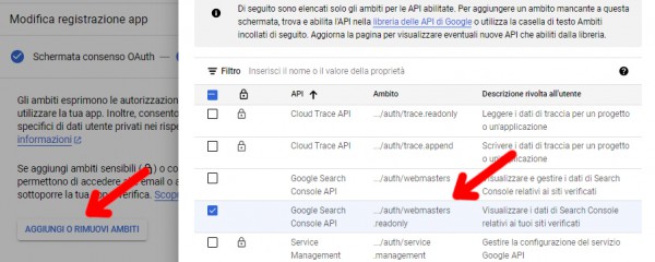 Search Console - oAuth2.0 - Schermata consenso 3