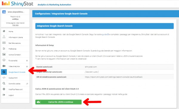 Search Console - Configurazione ShinyStat 2