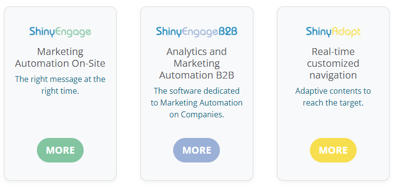 ShinyEngage, ShinyEngage B2B and ShinyAdapt: On-Site Marketing Automation systems designed to increase sales and lead generation in order to improve online performance.